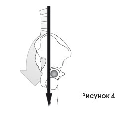 Иллюстрация к книге — Диагностика и лечение позвоночника. Уникальная система доктора А. М. Уриа [i_302.jpg]