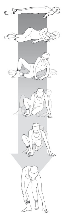 Иллюстрация к книге — Диагностика и лечение позвоночника. Уникальная система доктора А. М. Уриа [i_350.jpg]