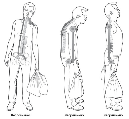 Иллюстрация к книге — Диагностика и лечение позвоночника. Уникальная система доктора А. М. Уриа [i_356.jpg]