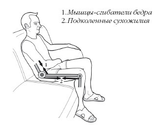 Иллюстрация к книге — Диагностика и лечение позвоночника. Уникальная система доктора А. М. Уриа [i_361.jpg]