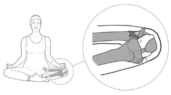 Иллюстрация к книге — Диагностика и лечение позвоночника. Уникальная система доктора А. М. Уриа [i_378.jpg]