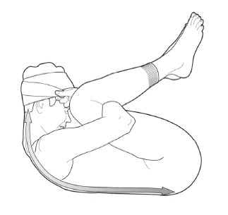 Иллюстрация к книге — Диагностика и лечение позвоночника. Уникальная система доктора А. М. Уриа [i_389.jpg]