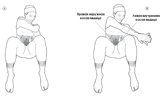 Иллюстрация к книге — Диагностика и лечение позвоночника. Уникальная система доктора А. М. Уриа [i_393.jpg]