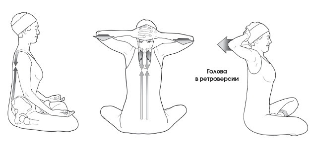 Иллюстрация к книге — Диагностика и лечение позвоночника. Уникальная система доктора А. М. Уриа [i_397.jpg]