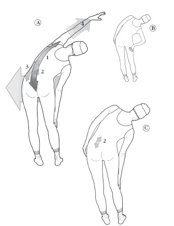 Иллюстрация к книге — Диагностика и лечение позвоночника. Уникальная система доктора А. М. Уриа [i_401.jpg]