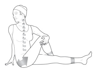 Иллюстрация к книге — Диагностика и лечение позвоночника. Уникальная система доктора А. М. Уриа [i_403.jpg]