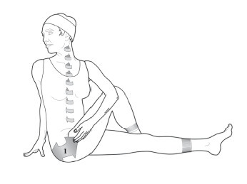 Иллюстрация к книге — Диагностика и лечение позвоночника. Уникальная система доктора А. М. Уриа [i_404.jpg]