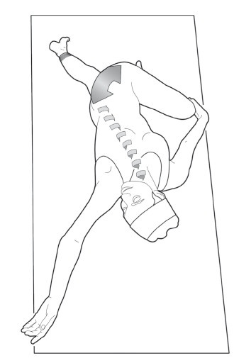 Иллюстрация к книге — Диагностика и лечение позвоночника. Уникальная система доктора А. М. Уриа [i_405.jpg]