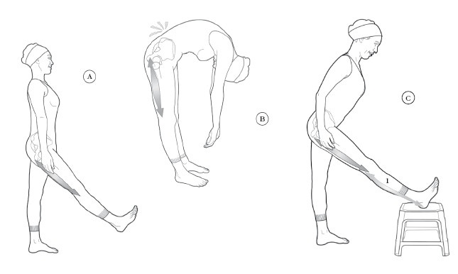 Иллюстрация к книге — Диагностика и лечение позвоночника. Уникальная система доктора А. М. Уриа [i_408.jpg]