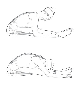 Иллюстрация к книге — Диагностика и лечение позвоночника. Уникальная система доктора А. М. Уриа [i_410.jpg]