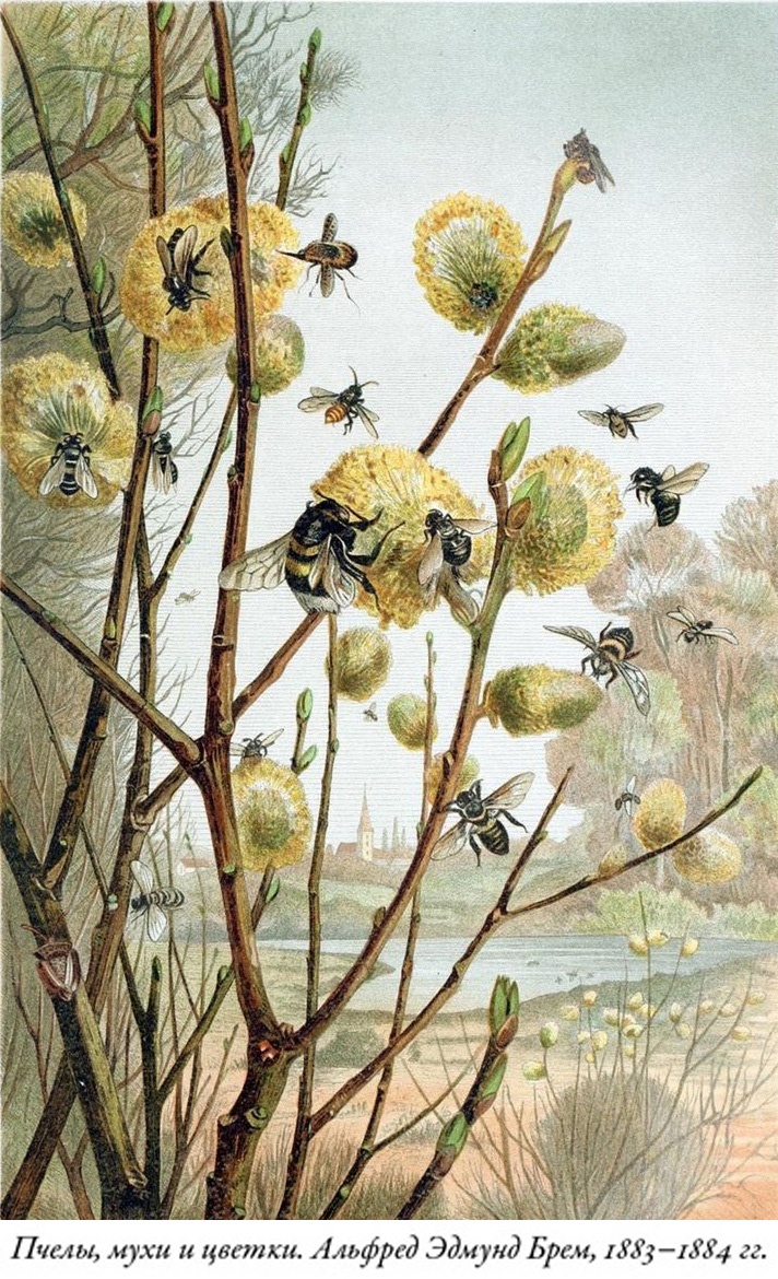 Иллюстрация к книге — Будущее Земли. Наша планета в борьбе за жизнь [i_002.jpg]