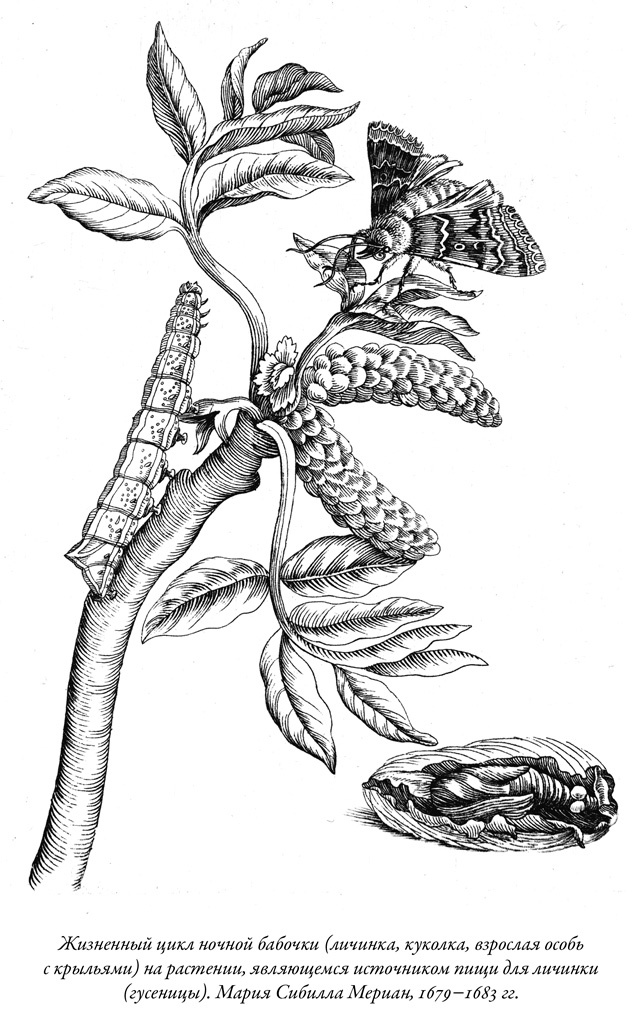 Иллюстрация к книге — Будущее Земли. Наша планета в борьбе за жизнь [i_006.jpg]