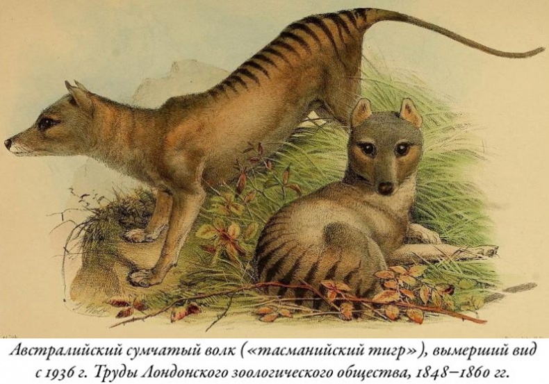 Иллюстрация к книге — Будущее Земли. Наша планета в борьбе за жизнь [i_013.jpg]