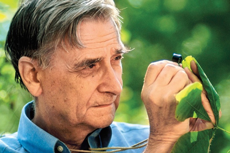 Иллюстрация к книге — Будущее Земли. Наша планета в борьбе за жизнь [i_037.jpg]