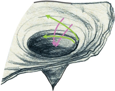 Иллюстрация к книге — Интерстеллар: наука за кадром [i_033.jpg]