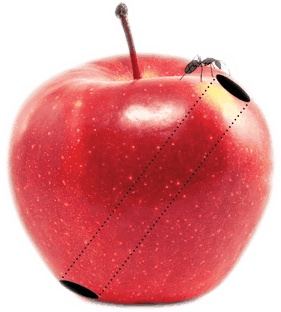 Иллюстрация к книге — Интерстеллар: наука за кадром [i_109.jpg]