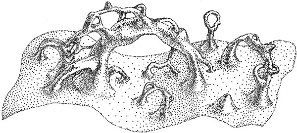 Иллюстрация к книге — Интерстеллар: наука за кадром [i_123.jpg]