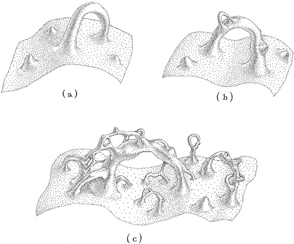 Иллюстрация к книге — Интерстеллар: наука за кадром [i_230.jpg]