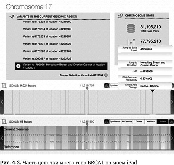 Иллюстрация к книге — Будущее медицины. Ваше здоровье в ваших руках [i_013.jpg]