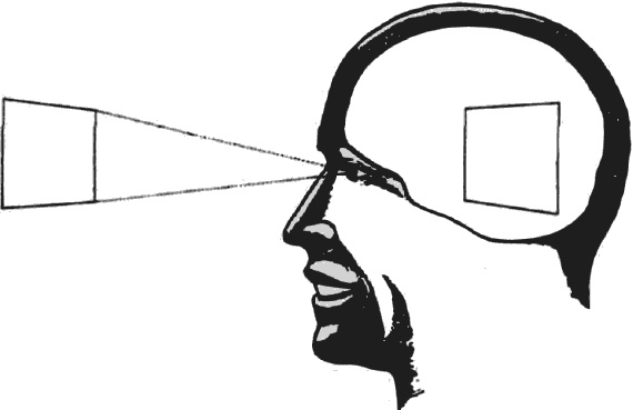 Иллюстрация к книге — Голографическая Вселенная. Новая теория реальности [i_005.jpg]