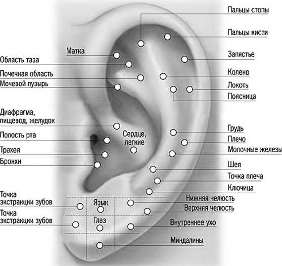Иллюстрация к книге — Голографическая Вселенная. Новая теория реальности [i_011.jpg]