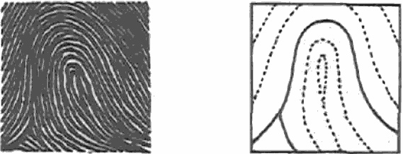 Иллюстрация к книге — Голографическая Вселенная. Новая теория реальности [i_013.jpg]