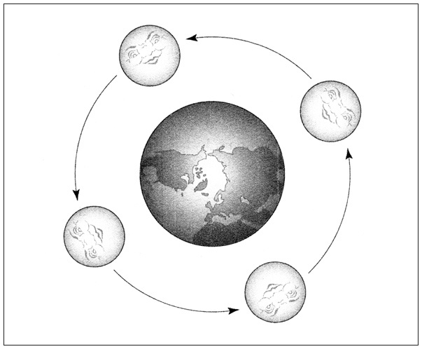 Иллюстрация к книге — Ритм вселенной. Как из хаоса возникает порядок [i_012.jpg]