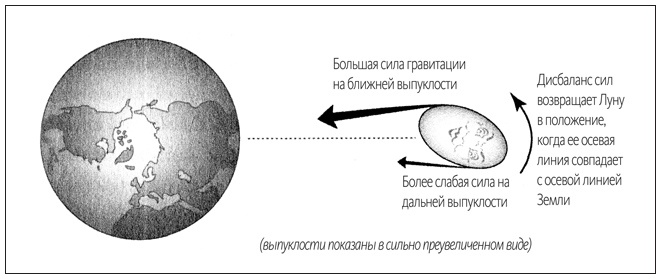 Иллюстрация к книге — Ритм вселенной. Как из хаоса возникает порядок [i_013.jpg]