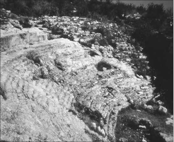 Иллюстрация к книге — Иисус и его мир. Новейшие открытия [i_002.jpg]