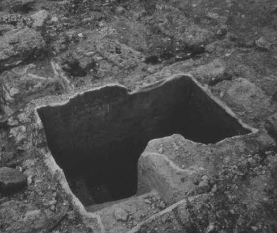 Иллюстрация к книге — Иисус и его мир. Новейшие открытия [i_003.jpg]