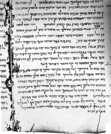 Иллюстрация к книге — Иисус и его мир. Новейшие открытия [i_022.jpg]