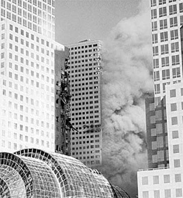 Иллюстрация к книге — Тайны мозга. Почему мы во все верим [_16.jpg]