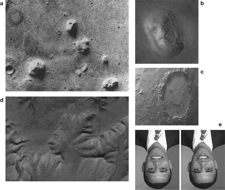 Иллюстрация к книге — Тайны мозга. Почему мы во все верим [_5.jpg]