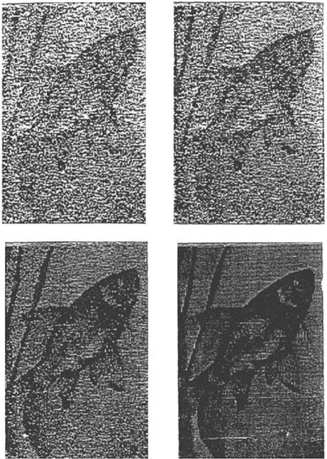 Иллюстрация к книге — Тайны мозга. Почему мы во все верим [_7.jpg]