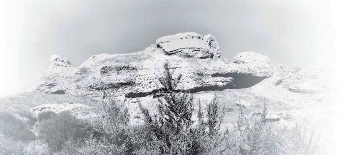 Иллюстрация к книге — Полынный мой путь [_29.jpg]