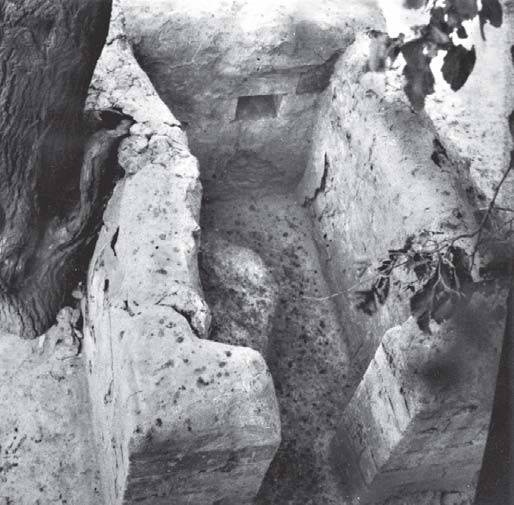 Иллюстрация к книге — Полынный мой путь [_38.jpg]