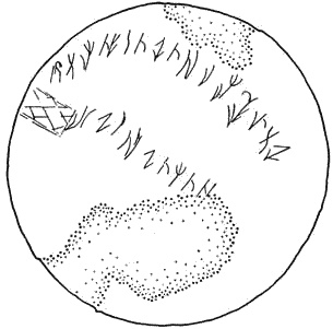 Иллюстрация к книге — Полынный мой путь [_40.jpg]