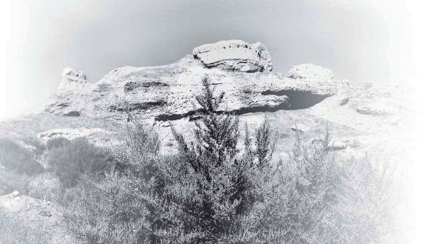 Иллюстрация к книге — Полынный мой путь [_48.jpg]