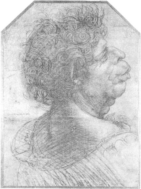 Иллюстрация к книге — 100 пророчеств Леонардо да Винчи [image14.jpg]