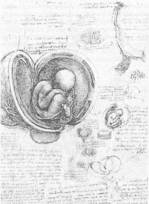 Иллюстрация к книге — 100 пророчеств Леонардо да Винчи [image25.jpg]