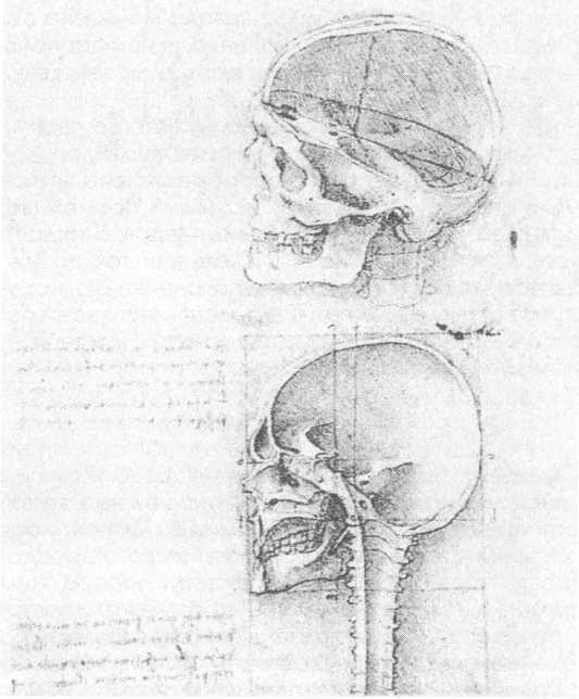 Иллюстрация к книге — 100 пророчеств Леонардо да Винчи [image29.jpg]