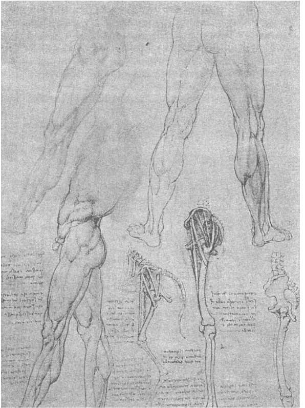 Иллюстрация к книге — 100 пророчеств Леонардо да Винчи [image33.jpg]