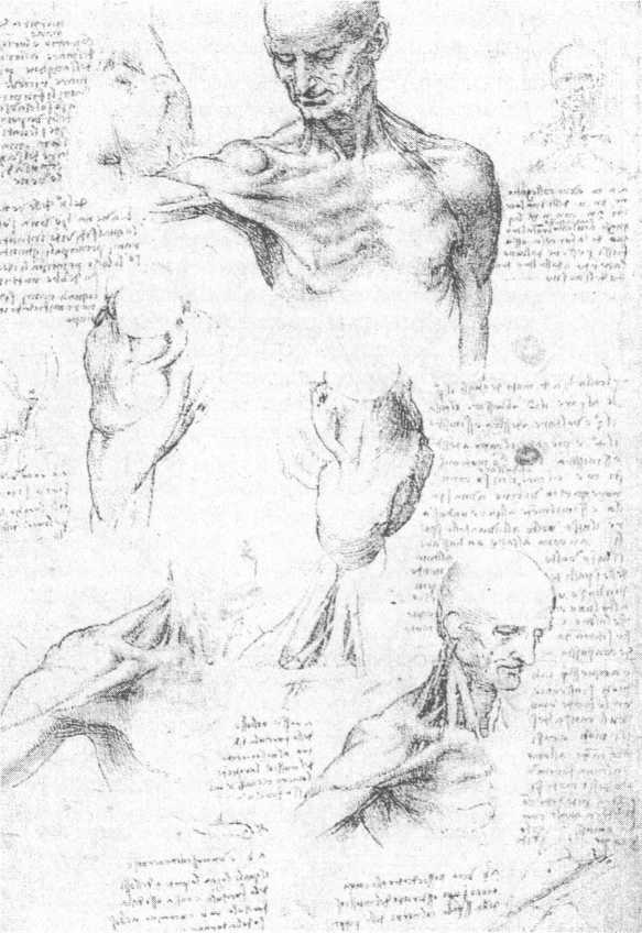 Иллюстрация к книге — 100 пророчеств Леонардо да Винчи [image34.jpg]