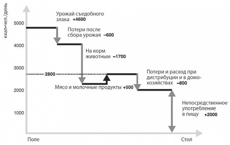 Иллюстрация к книге — Изобилие. Будущее будет лучше, чем вы думаете [i_019.jpg]