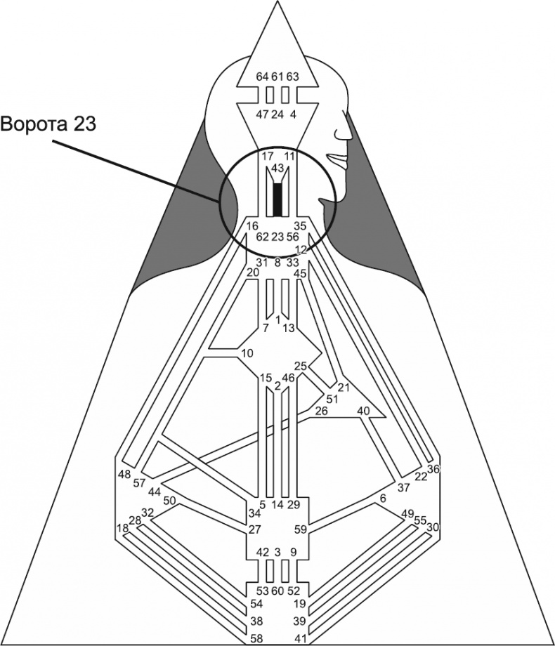 Иллюстрация к книге — Новый дизайн счастливого человека. Как понять, кто ты на самом деле [i_073.jpg]