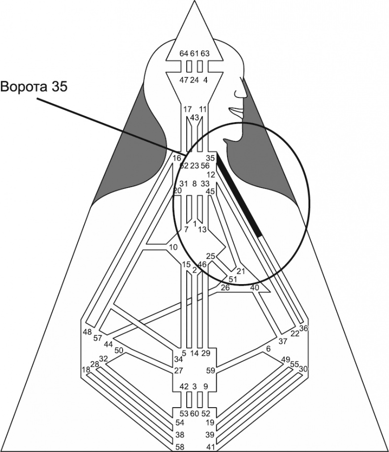 Иллюстрация к книге — Новый дизайн счастливого человека. Как понять, кто ты на самом деле [i_085.jpg]