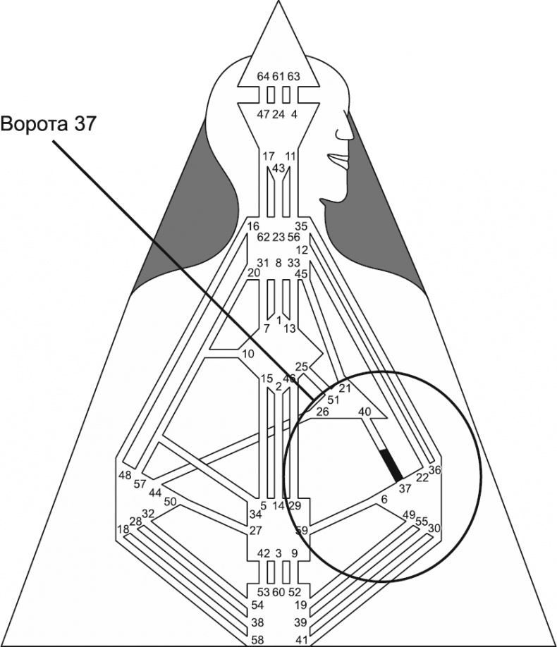 Иллюстрация к книге — Новый дизайн счастливого человека. Как понять, кто ты на самом деле [i_087.jpg]