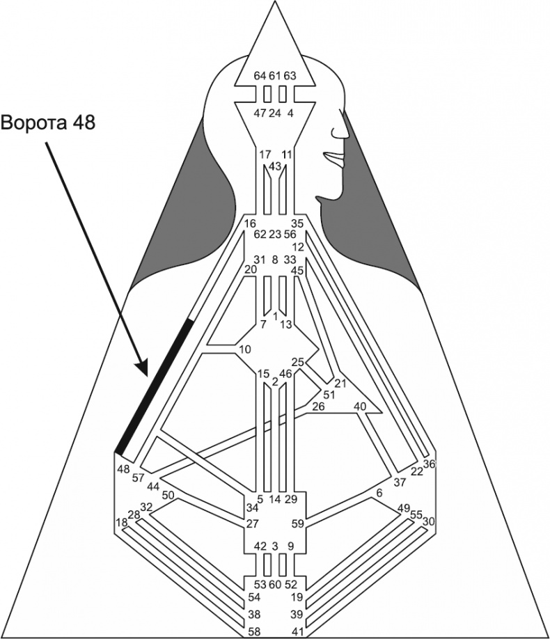 Иллюстрация к книге — Новый дизайн счастливого человека. Как понять, кто ты на самом деле [i_097.jpg]