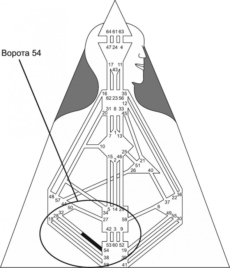 Иллюстрация к книге — Новый дизайн счастливого человека. Как понять, кто ты на самом деле [i_103.jpg]