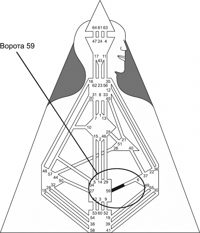 Иллюстрация к книге — Новый дизайн счастливого человека. Как понять, кто ты на самом деле [i_108.jpg]